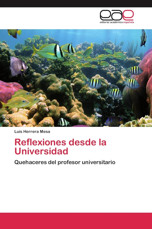 Reflexiones desde la Universidad: Quehaceres del profesor universitario