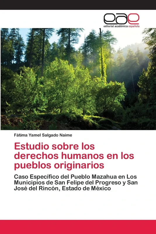 Estudio sobre los derechos humanos en los pueblos originarios: Caso Específico del Pueblo Mazahua en Los Municipios de San Felipe del Progreso y San José del Rincón, Estado de México