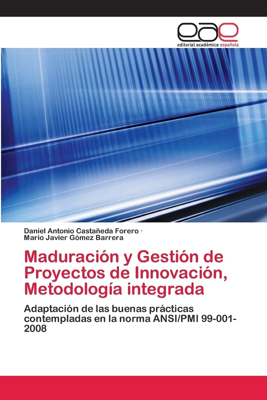 Maduración y Gestión de Proyectos de Innovación, Metodología integrada: Adaptación de las buenas prácticas contempladas en la norma ANSI/PMI 99-001-2008