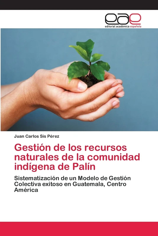 Gestión de los recursos naturales de la comunidad indígena de Palín: Sistematización de un Modelo de Gestión Colectiva exitoso en Guatemala, Centro América - Image 1