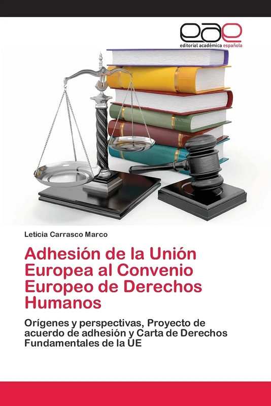 Adhesión de la Unión Europea al Convenio Europeo de Derechos Humanos: Orígenes y perspectivas, Proyecto de acuerdo de adhesión y Carta de Derechos Fundamentales de la UE