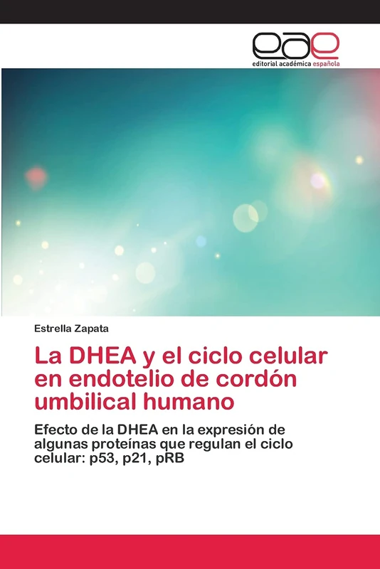 La DHEA y el ciclo celular en endotelio de cordón umbilical humano: Efecto de la DHEA en la expresión de algunas proteínas que regulan el ciclo celular: p53, p21, pRB - Image 1