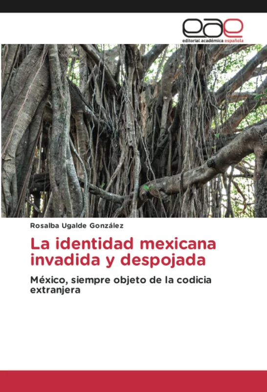 La identidad mexicana invadida y despojada: México, siempre objeto de la codicia extranjera