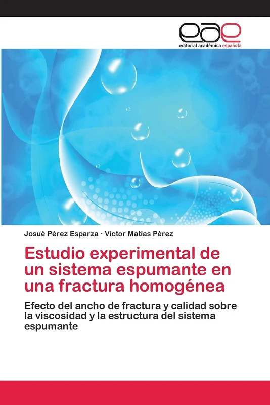 Estudio experimental de un sistema espumante en una fractura homogénea: Efecto del ancho de fractura y calidad sobre la viscosidad y la estructura del sistema espumante - Image 1