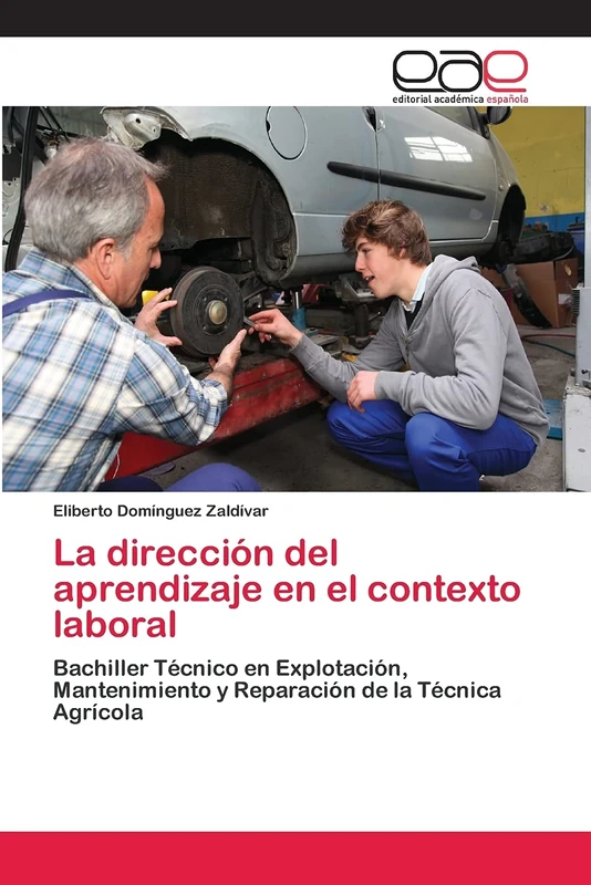 La dirección del aprendizaje en el contexto laboral: Bachiller Técnico en Explotación, Mantenimiento y Reparación de la Técnica Agrícola
