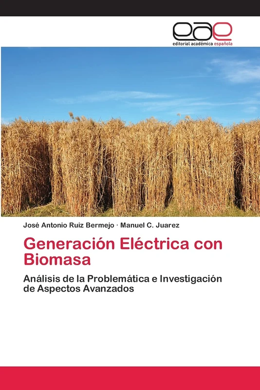 Generación Eléctrica con Biomasa: Análisis de la Problemática e Investigación de Aspectos Avanzados - Image 1