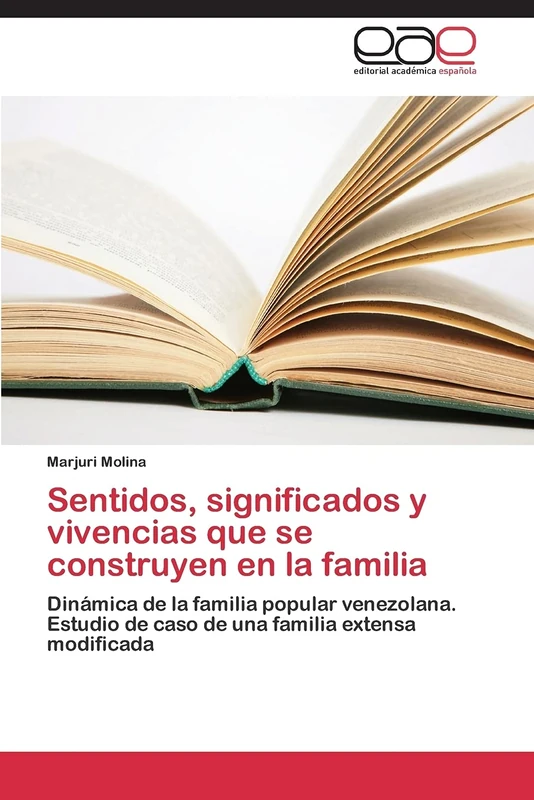 Sentidos, significados y vivencias que se construyen en la familia: Dinámica de la familia popular venezolana. Estudio de caso de una familia extensa modificada - Image 1