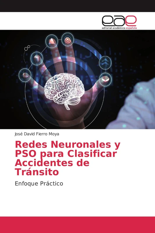 Redes Neuronales y PSO para Clasificar Accidentes de Tránsito: Enfoque Práctico - Image 1