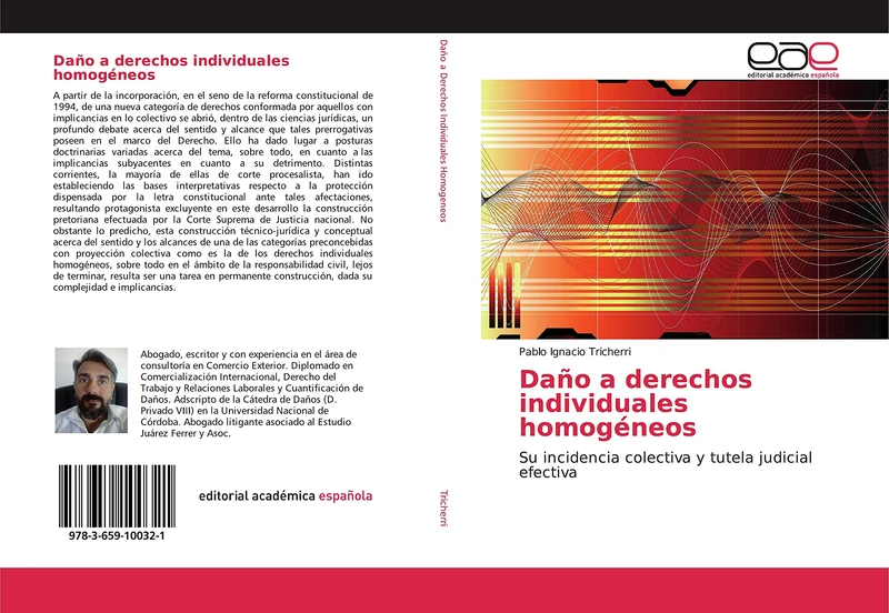 Daño a derechos individuales homogéneos: Su incidencia colectiva y tutela judicial efectiva