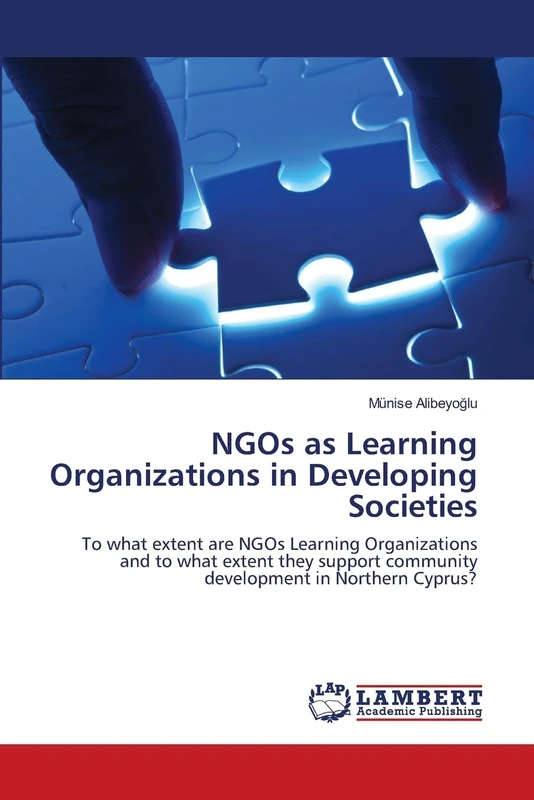NGOs as Learning Organizations in Developing Societies: To what extent are NGOs Learning Organizations and to what extent they support community development in Northern Cyprus?