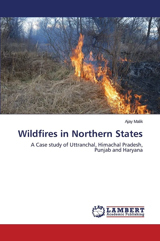 Wildfires in Northern States: A Case study of Uttranchal, Himachal Pradesh, Punjab and Haryana - Image 1