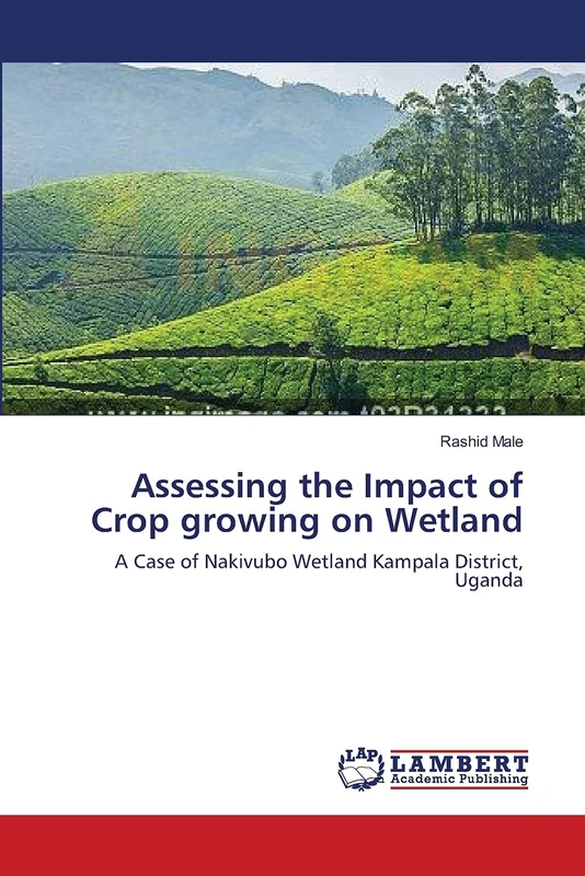 Assessing the Impact of Crop growing on Wetland: A Case of Nakivubo Wetland Kampala District, Uganda - Image 1