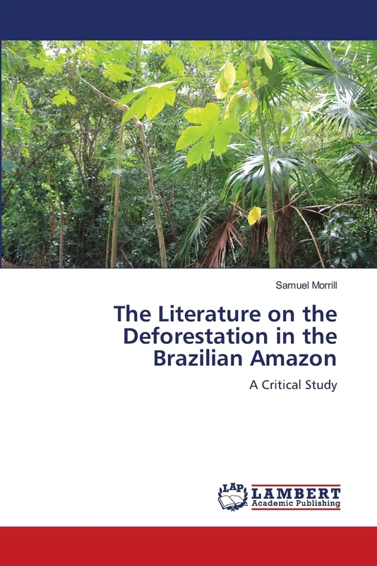 The Literature on the Deforestation in the Brazilian Amazon: A Critical Study - Image 1