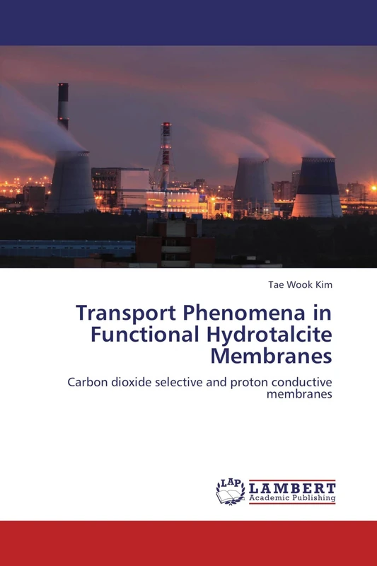 Transport Phenomena in Functional Hydrotalcite Membranes: Carbon dioxide selective and proton conductive membranes - Image 1
