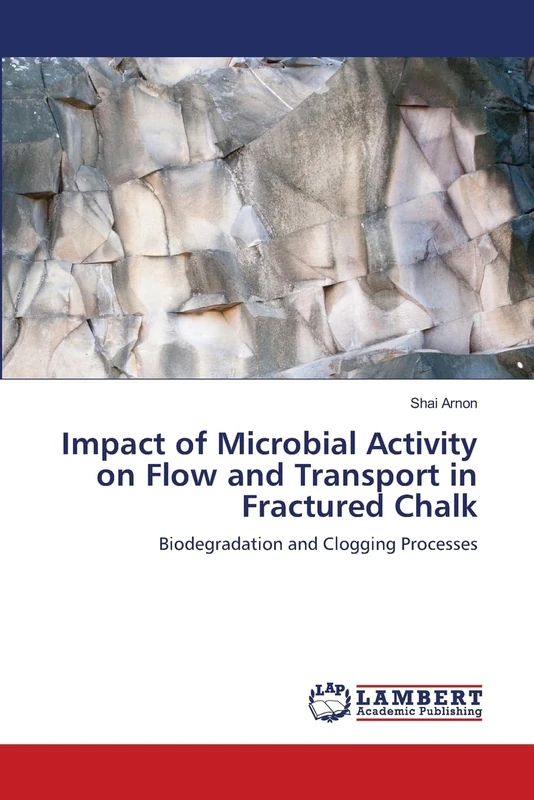 Impact of Microbial Activity on Flow and Transport in Fractured Chalk: Biodegradation and Clogging Processes
