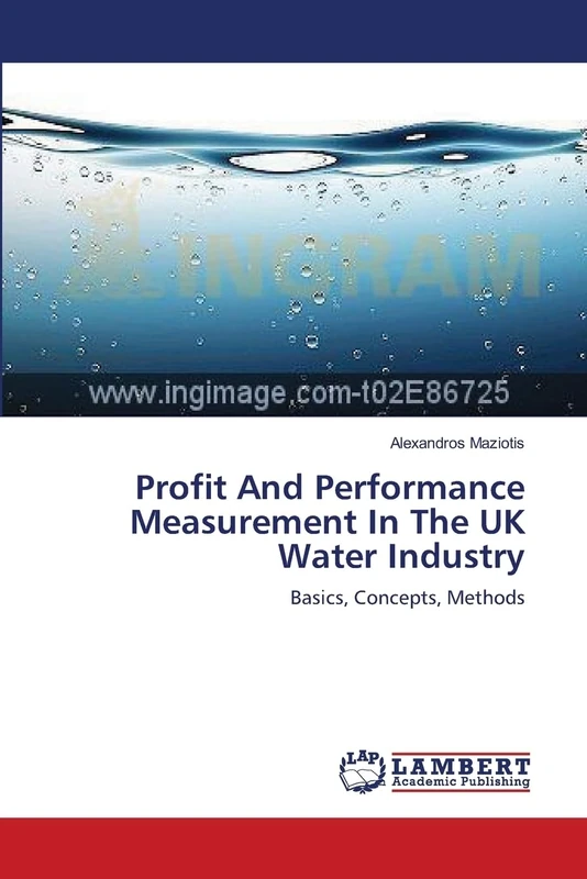 Profit And Performance Measurement In The UK Water Industry: Basics, Concepts, Methods