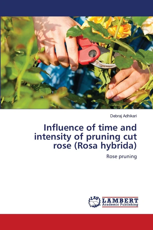 Influence of time and intensity of pruning cut rose (Rosa hybrida): Rose pruning - Image 1
