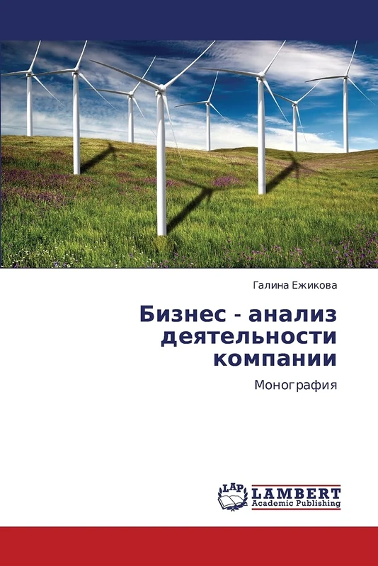 Biznes - analiz deyatel'nosti kompanii: Monografiya