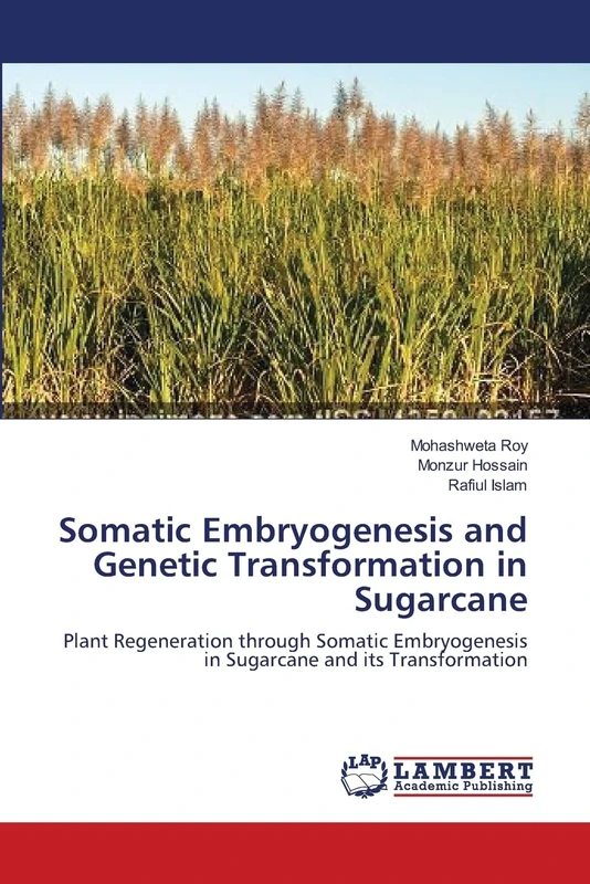 Somatic Embryogenesis and Genetic Transformation in Sugarcane: Plant Regeneration through Somatic Embryogenesis in Sugarcane and its Transformation