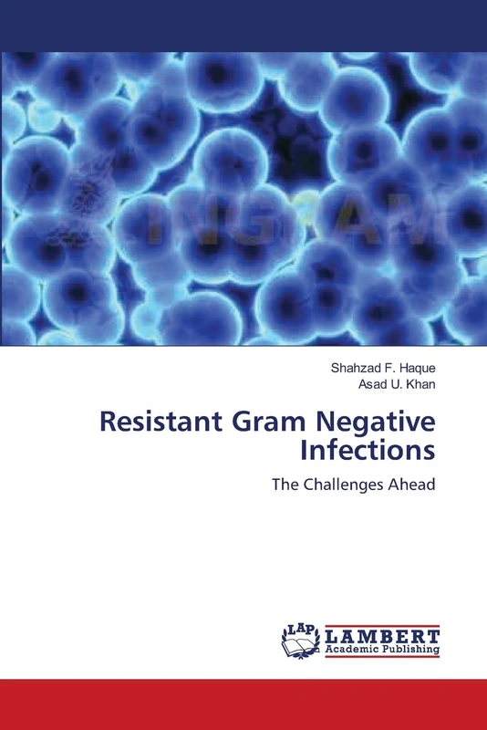 Resistant Gram Negative Infections: The Challenges Ahead