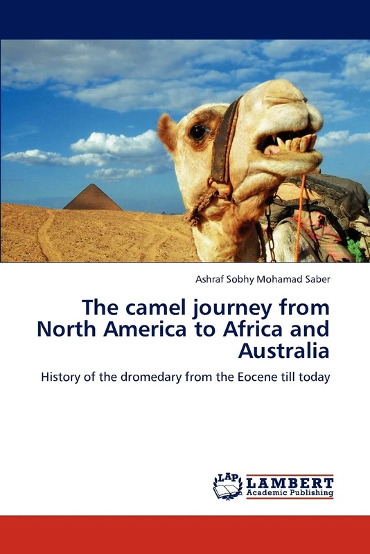 The camel journey from North America to Africa and Australia: History of the dromedary from the Eocene till today - Image 1