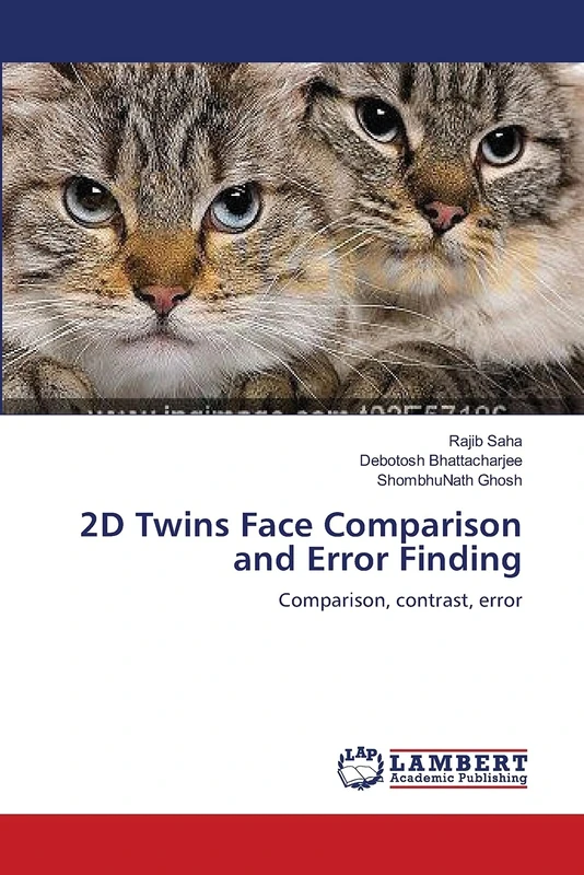 2D Twins Face Comparison and Error Finding: Comparison, contrast, error - Image 1