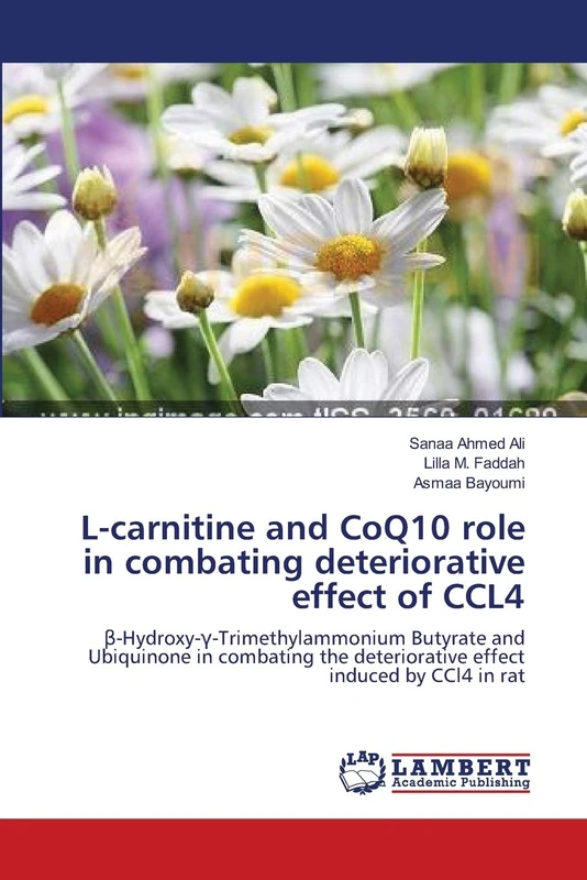 L-carnitine and CoQ10 role in combating deteriorative effect of CCL4: β-Hydroxy-γ-Trimethylammonium Butyrate and Ubiquinone in combating the deteriorative effect induced by CCl4 in rat