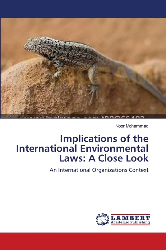 Implications of the International Environmental Laws: A Close Look: An International Organizations Context