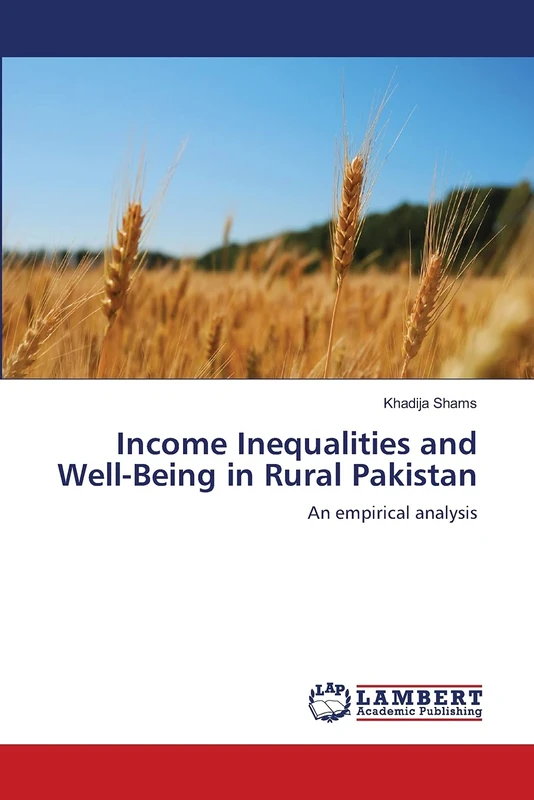 Income Inequalities and Well-Being in Rural Pakistan: An empirical analysis
