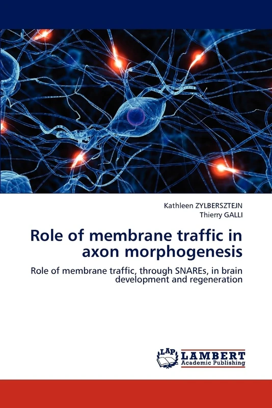 Role of membrane traffic in axon morphogenesis: Role of membrane traffic, through SNAREs, in brain development and regeneration - Image 1
