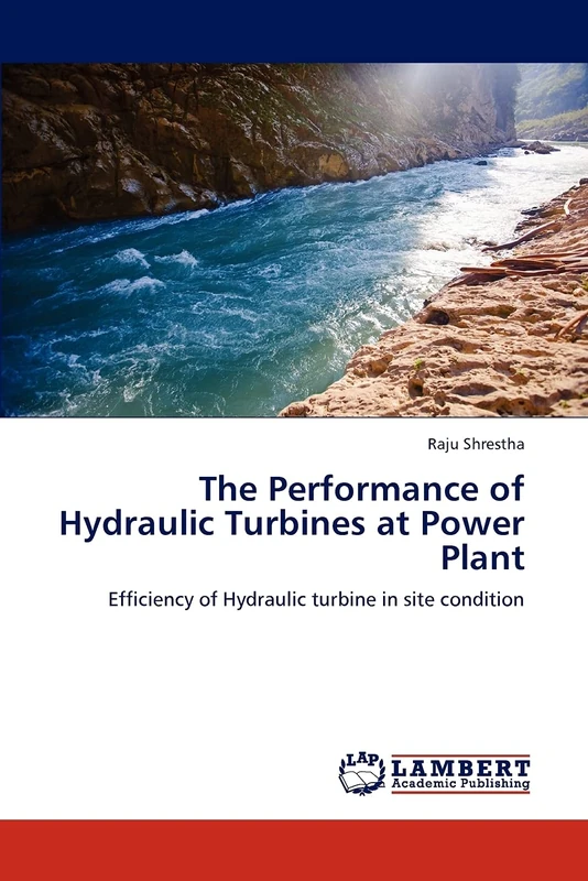 The Performance of Hydraulic Turbines at Power Plant: Efficiency of Hydraulic turbine in site condition