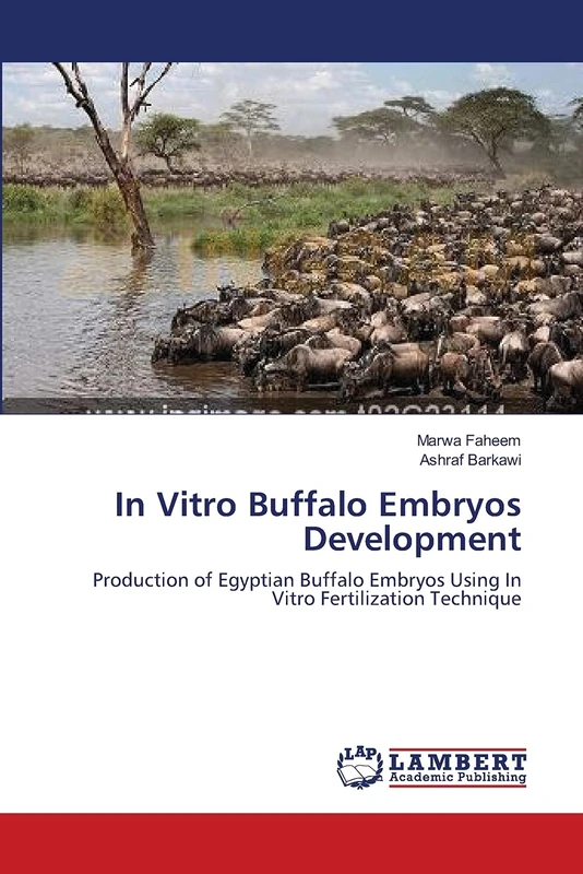 In Vitro Buffalo Embryos Development: Production of Egyptian Buffalo Embryos Using In Vitro Fertilization Technique