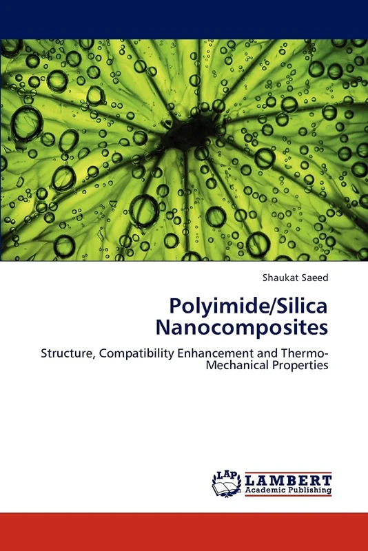 Polyimide/Silica Nanocomposites: Structure, Compatibility Enhancement and Thermo-Mechanical Properties