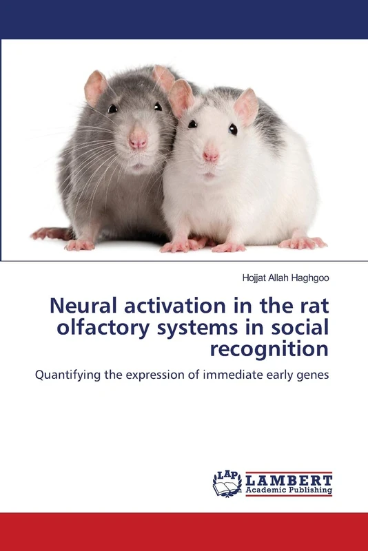 Neural activation in the rat olfactory systems in social recognition: Quantifying the expression of immediate early genes