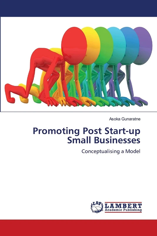 Promoting Post Start-up Small Businesses: Conceptualising a Model