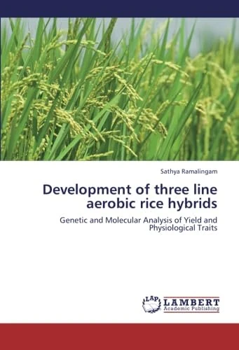 Development of three line aerobic rice hybrids: Genetic and Molecular Analysis of Yield and Physiological Traits