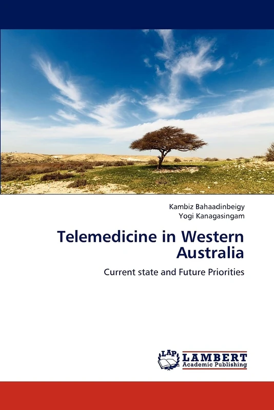 Telemedicine in Western Australia: Current state and Future Priorities - Image 1