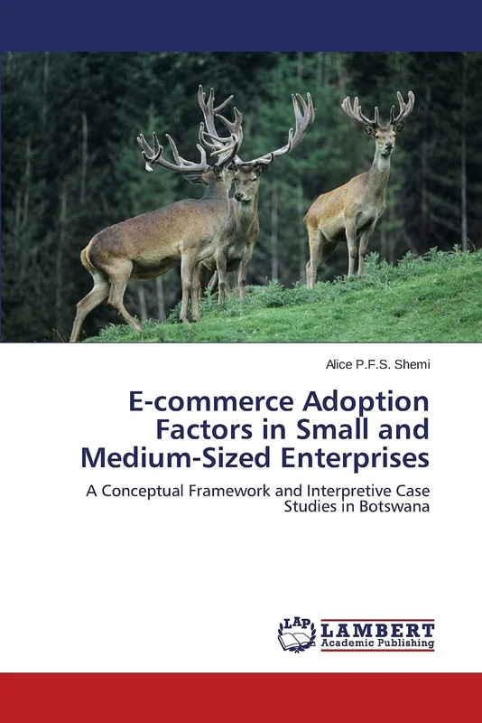 E-commerce Adoption Factors in Small and Medium-Sized Enterprises: A Conceptual Framework and Interpretive Case Studies in Botswana