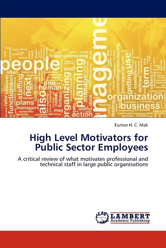 High Level Motivators for Public Sector Employees: A critical review of what motivates professional and technical staff in large public organisations
