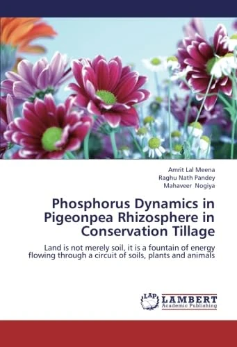 Phosphorus Dynamics in Pigeonpea Rhizosphere in Conservation Tillage: Land is not merely soil, it is a fountain of energy flowing through a circuit of soils, plants and animals