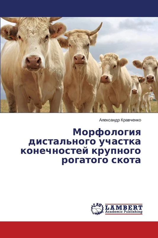 Морфология дистального участка конечностей крупного рогатого скота