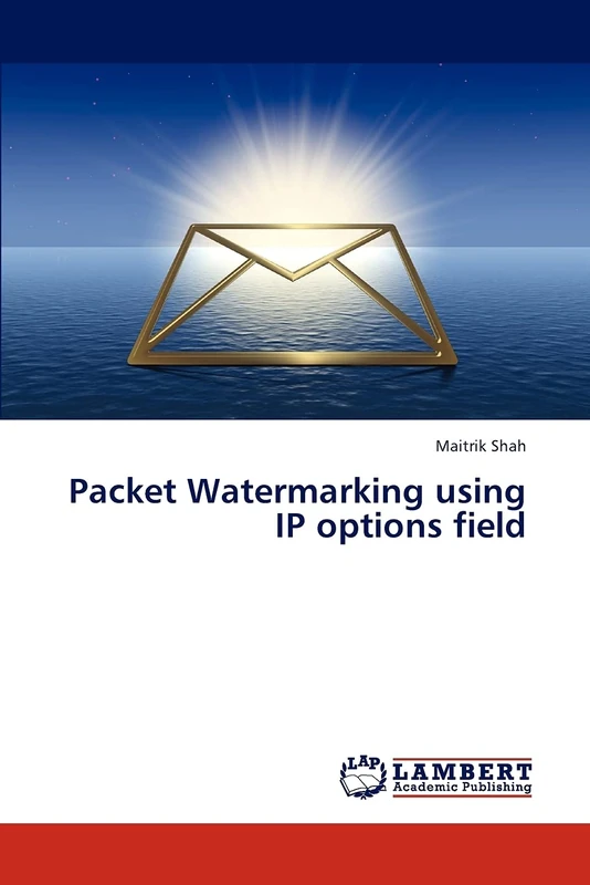 Packet Watermarking using IP options field