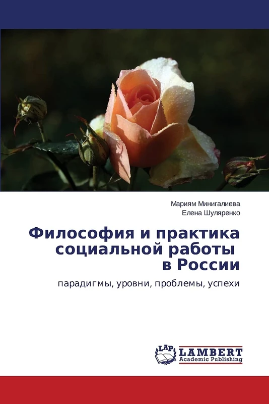 Filosofiya i praktika sotsial'noy raboty v Rossii: paradigmy, urovni, problemy, uspekhi