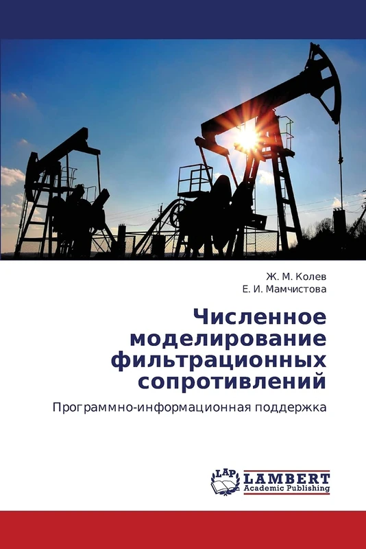 Chislennoe modelirovanie fil'tratsionnykh soprotivleniy: Programmno-informatsionnaya podderzhka