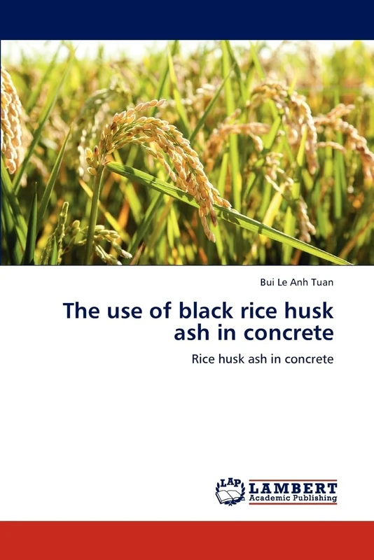 The use of black rice husk ash in concrete: Rice husk ash in concrete