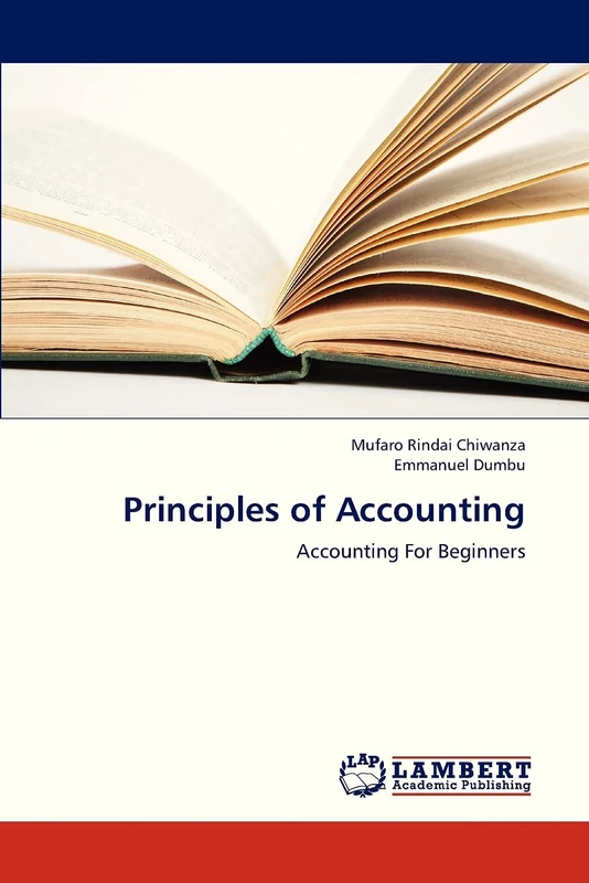 Principles of Accounting: Accounting For Beginners