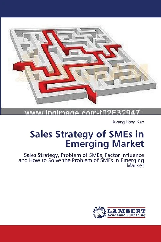 Sales Strategy of SMEs in Emerging Market: Sales Strategy, Problem of SMEs, Factor Influence and How to Solve the Problem of SMEs in Emerging Market
