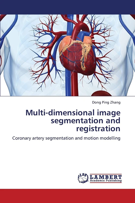 Multi-dimensional image segmentation and registration: Coronary artery segmentation and motion modelling