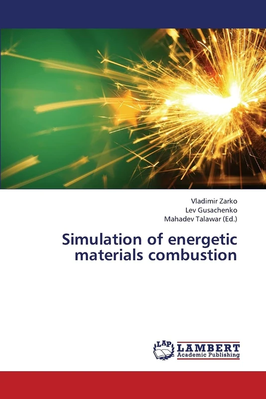 Simulation of energetic materials combustion