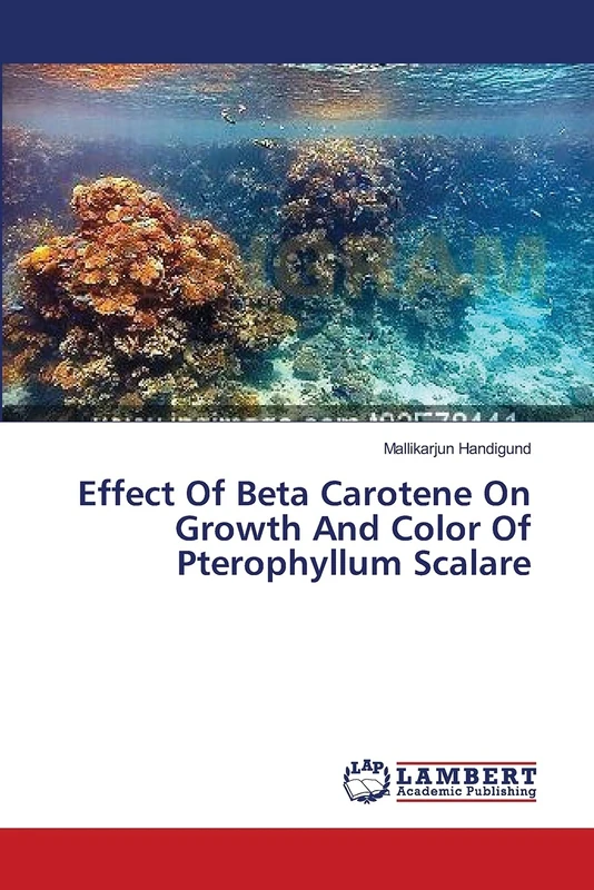 Effect Of Beta Carotene On Growth And Color Of Pterophyllum Scalare - Image 1